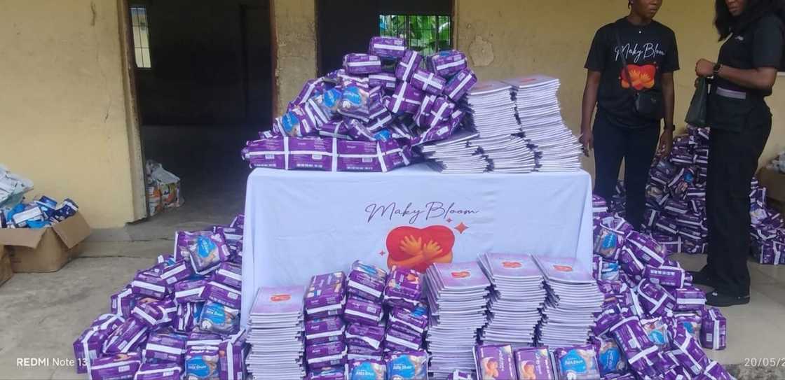From Crisis to Care: Rewriting the Narrative of Women's Healthcare in Nigeria by Stephanie Madumelu