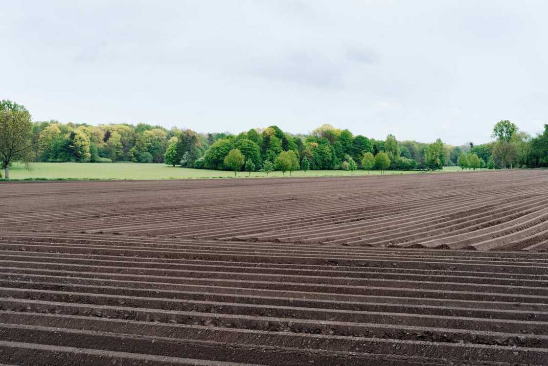 how many plots in an acre