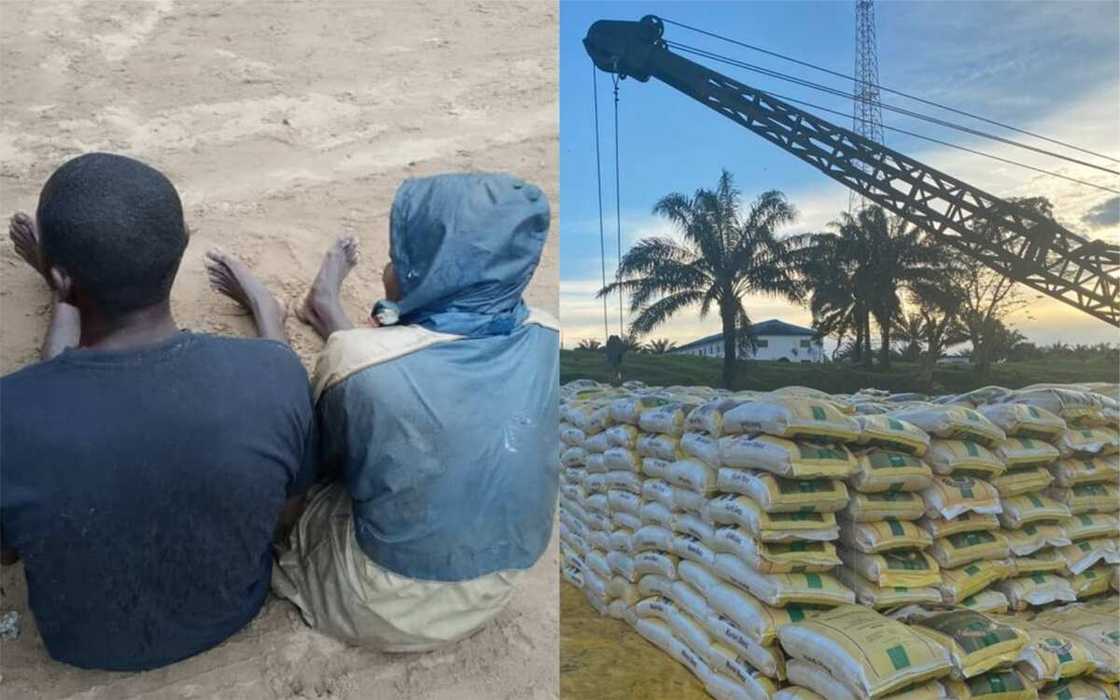 Hotunan yadda rundunar soji ta cafke masu safarar shinkafa daga shiyyar Kudu maso Kudu Hotunan yadda rundunar soji ta cafke masu safarar shinkafa daga shiyyar Kudu maso Kudu