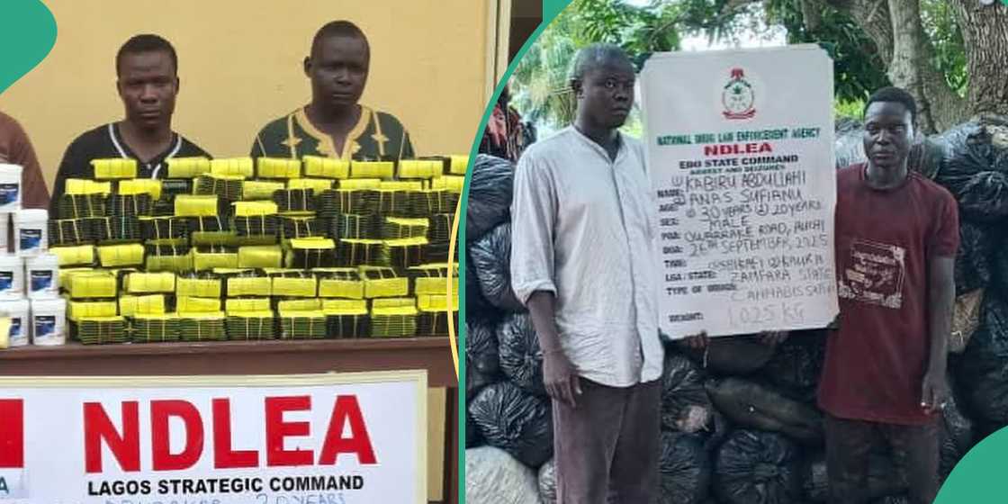 NDLEA Chairman Buba Marwa commends officers after nationwide raids and massive drug seizures. NDLEA Chairman Buba Marwa commends officers after nationwide raids and massive drug seizures.