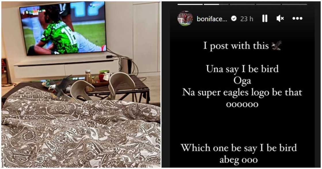 Victor Boniface supports Super Eagles at AFCON, Victor Boniface denies being a cultist Victor Boniface supports Super Eagles at AFCON, Victor Boniface denies being a cultist