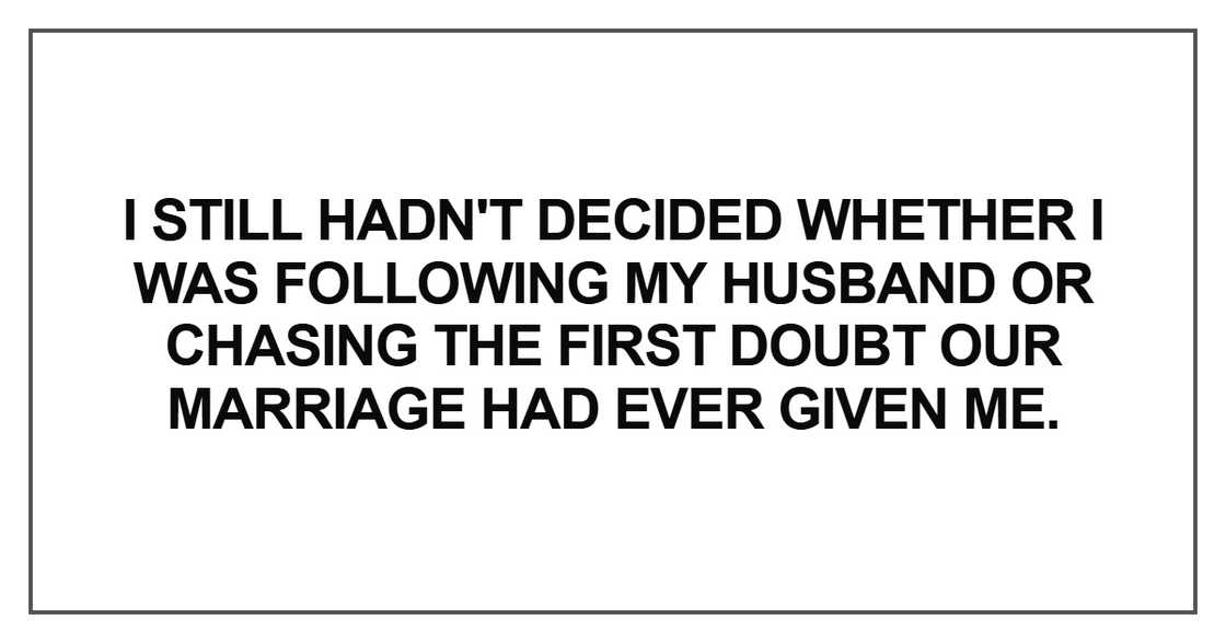 I still hadn't decided whether I still hadn't decided whether