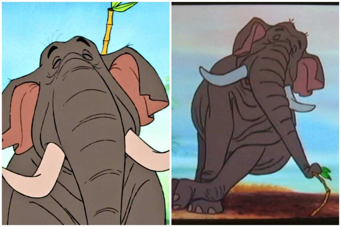 Jungle Book characters Jungle Book characters