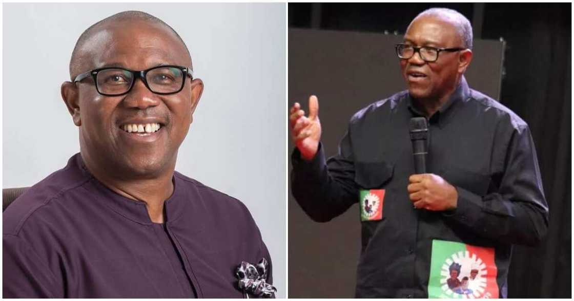 Peter Obi sends message to Muslims/ Obi asks Muslims to pray for Nigeria/ Eid-el-Kabir