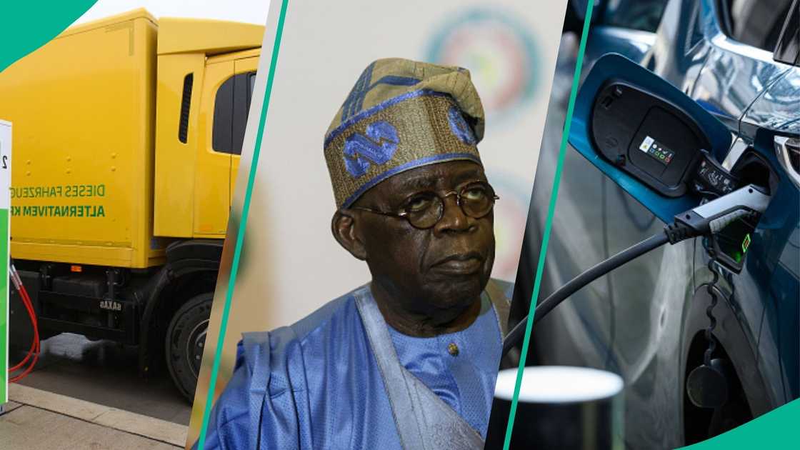 Bola Tinubu Bola Tinubu