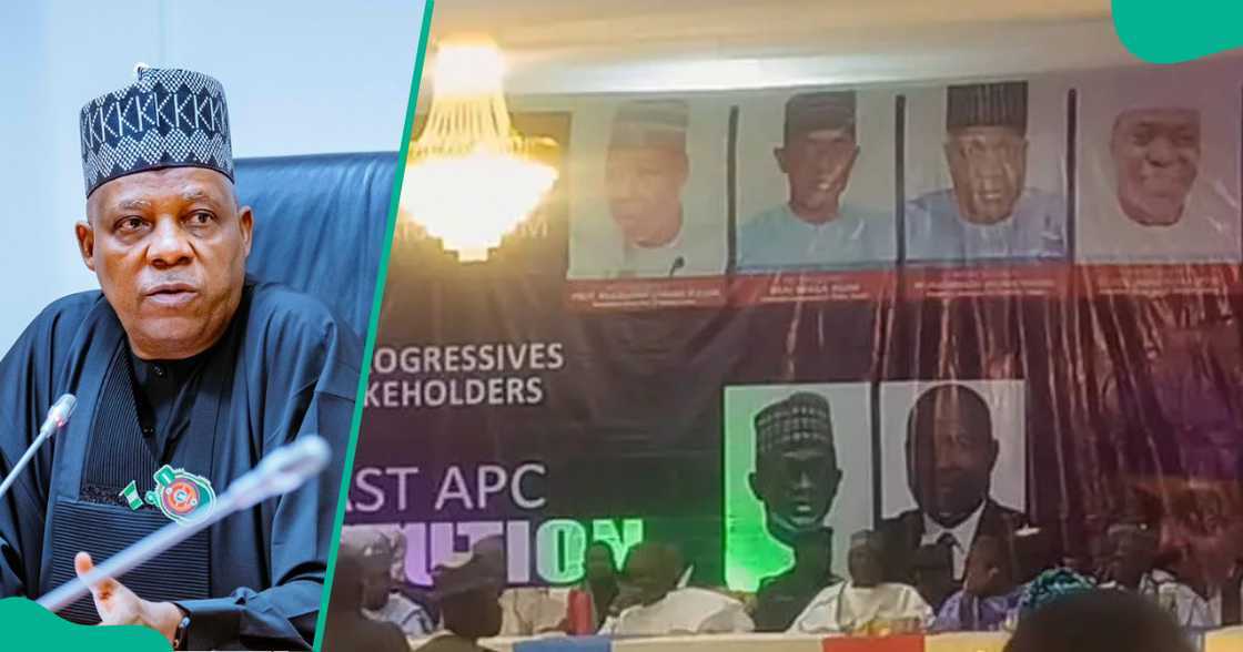 An yi rigima kan kin saka hoton Shettima a taron APC An yi rigima kan kin saka hoton Shettima a taron APC