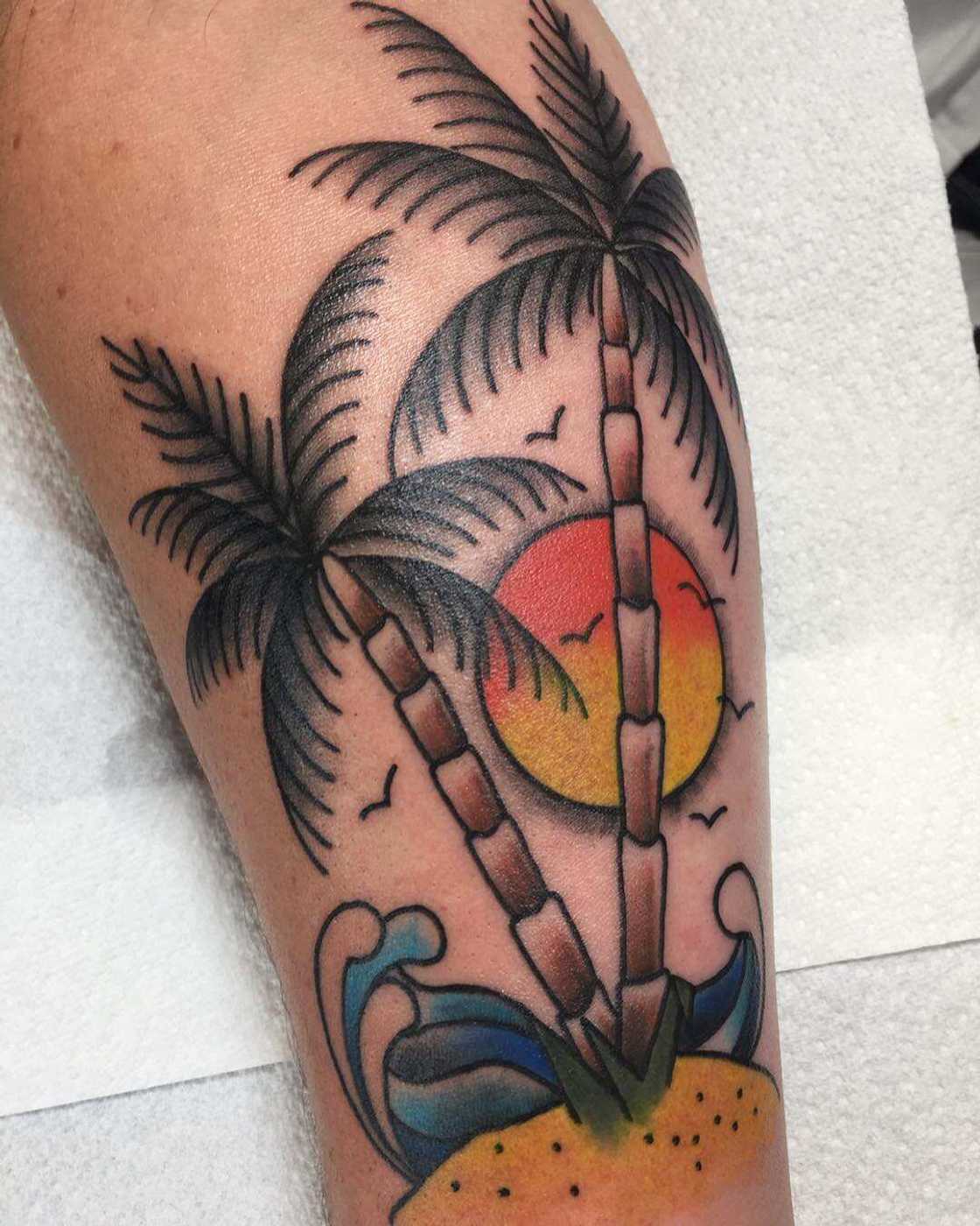 palm tree symbolism