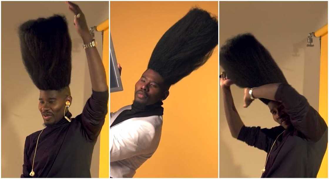 Photos of Benny Harlem and his tall hair. Photos of Benny Harlem and his tall hair.