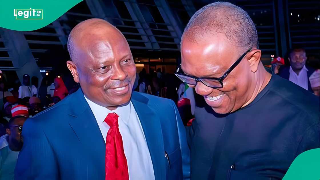Sanata Rabiu Kwankwaso, Peter Obi, Shehu Sani sun aika sako ga Super Eagles Sanata Rabiu Kwankwaso, Peter Obi, Shehu Sani sun aika sako ga Super Eagles