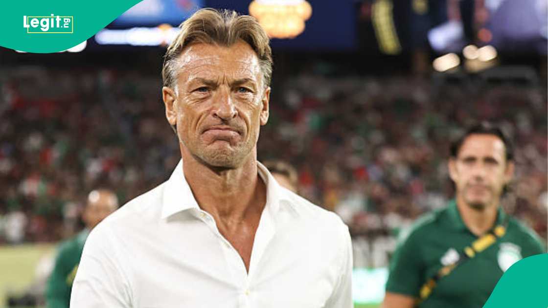 Morocco, Senegal, AFCON, Towels, Herve Renard
