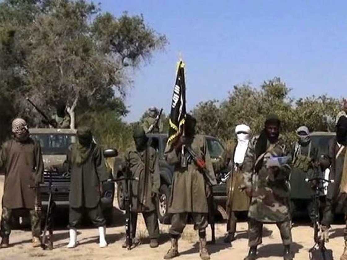 'Yan Boko Haram Sunyi Kisa a Borno, Sun Sace Kayan Abinci da Dabobi 'Yan Boko Haram Sunyi Kisa a Borno, Sun Sace Kayan Abinci da Dabobi