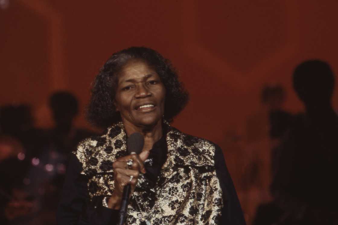 Big Mama Thornton performing connected  the ABC TV bid    'Omnibus'