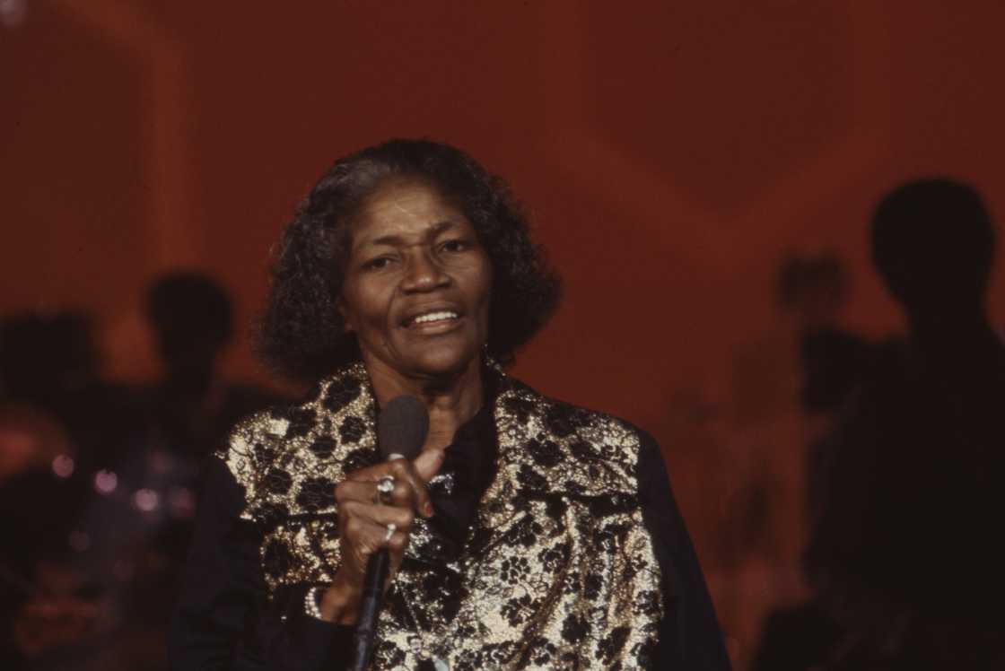 Big Mama Thornton performing on the ABC TV series 'Omnibus' Big Mama Thornton performing on the ABC TV series 'Omnibus'