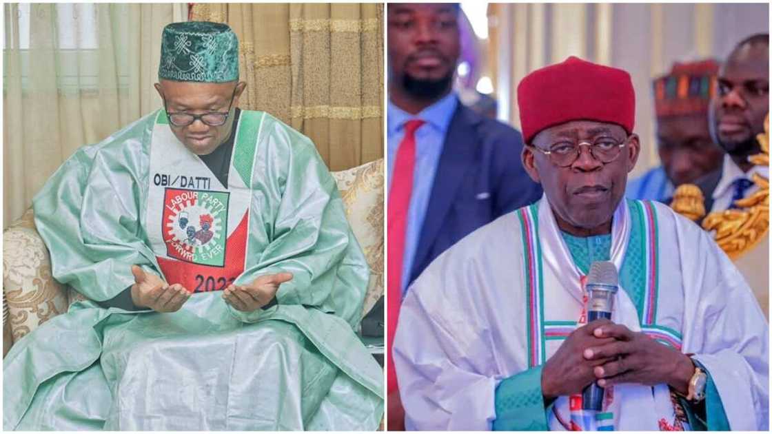 Peter Obi and Tinubu/Stears Poll/2023 Presidential Election Peter Obi and Tinubu/Stears Poll/2023 Presidential Election