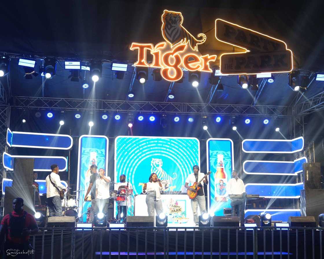 Tiger Beer Hosts a Bold Celebration of Youth and Self-Expression with Party in the Park Tiger Beer Hosts a Bold Celebration of Youth and Self-Expression with Party in the Park