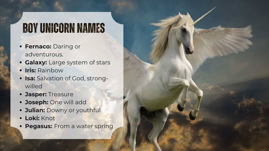 Boy unicorn names