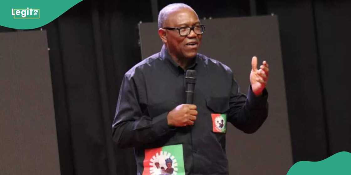 Peter Obi didn't protest against Tinubu's presidency because he is not a violent man Peter Obi didn't protest against Tinubu's presidency because he is not a violent man