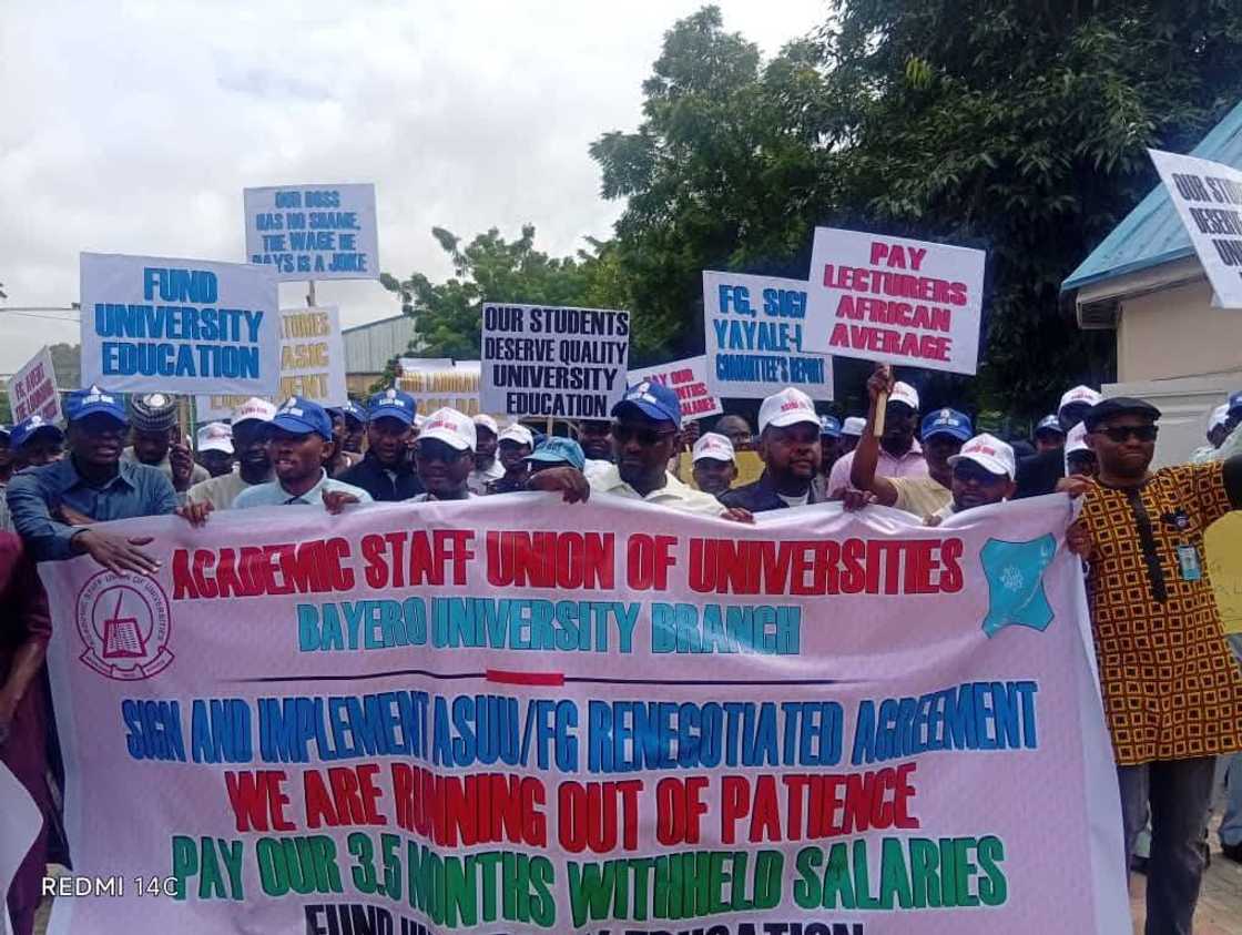 MAlaman jami'a na zanga zanga a jami'ar Bayero da ke Kano MAlaman jami'a na zanga zanga a jami'ar Bayero da ke Kano