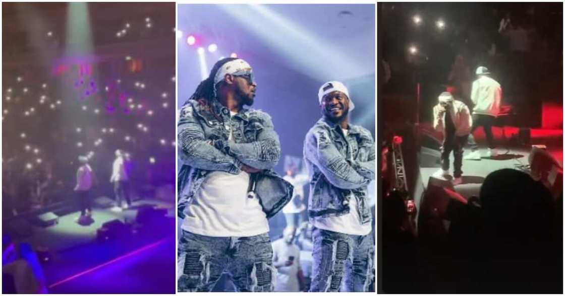 Psquare, London concert, Peter and Paul, D'banj