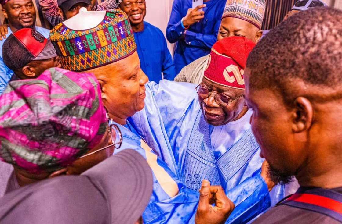 Bola Tinubu/APC/PDP/Labour Party/2023 election Bola Tinubu/APC/PDP/Labour Party/2023 election
