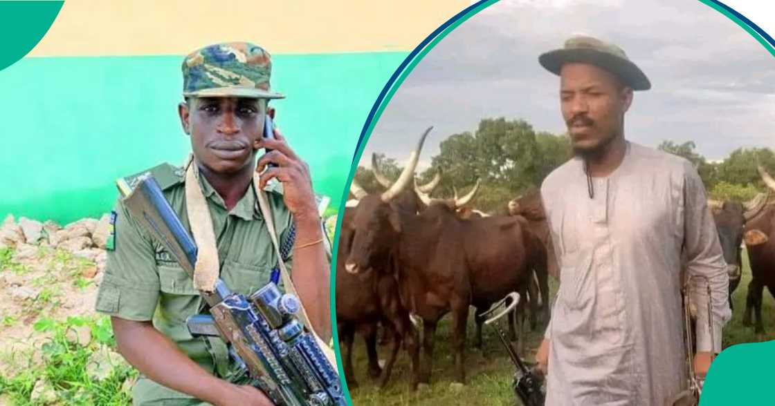 Yan ta'adda Yan ta'adda