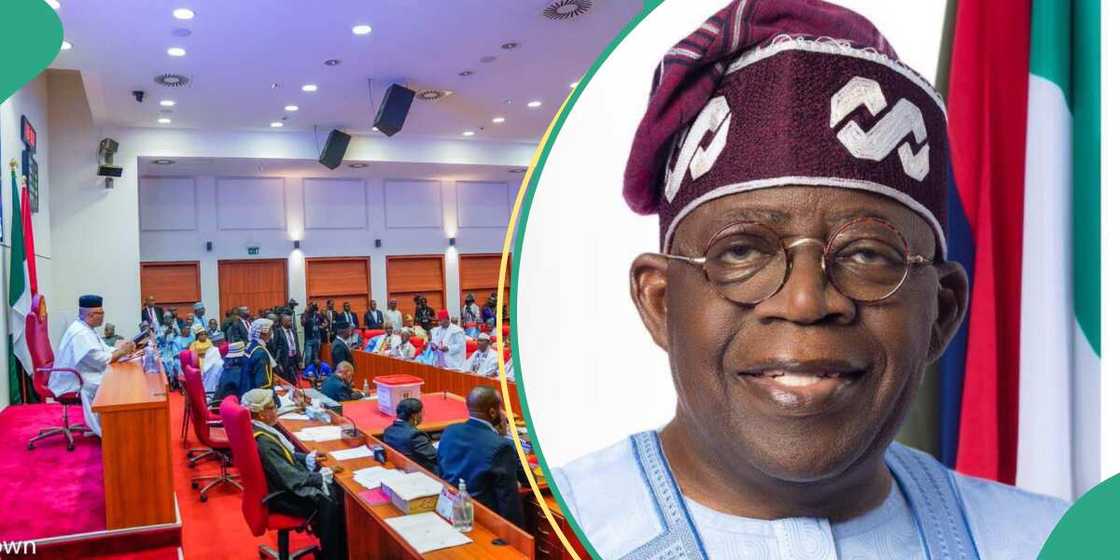 Senate urges Tinubu to address food scarcity, hunger crisis Senate urges Tinubu to address food scarcity, hunger crisis
