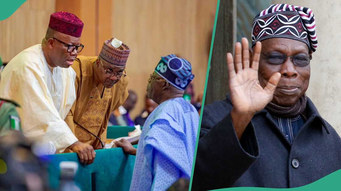 The salaries and allowances of the Nigerian senator have been revealed by the RMAFC chairman, Muhammed Bello Shehu. The salaries and allowances of the Nigerian senator have been revealed by the RMAFC chairman, Muhammed Bello Shehu.