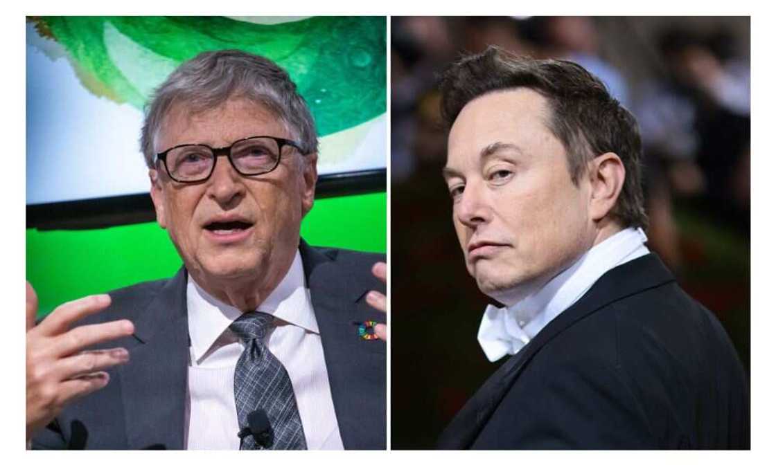 Elon Musk. Bill Gates, Twitter, Microsoft