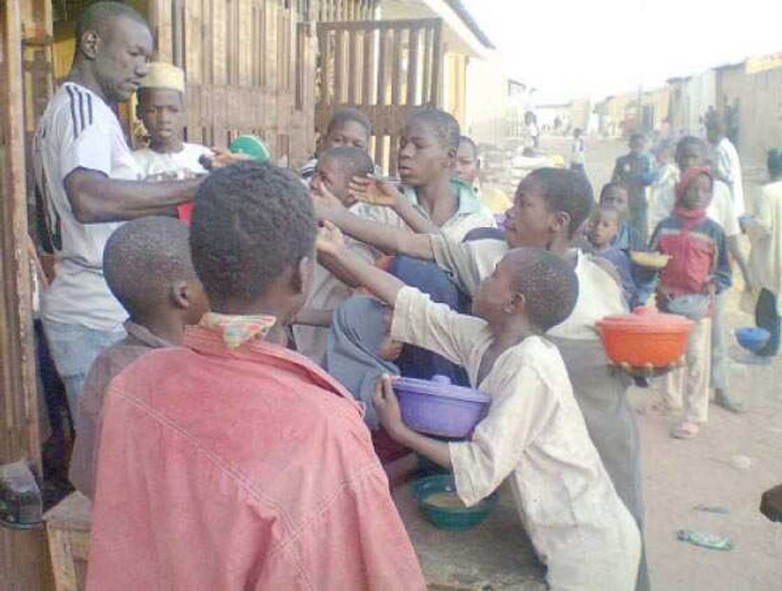 Hana bara a Kano: Malaman Tsangaya sun yi zazzafan martani ga Ganduje Hana bara a Kano: Malaman Tsangaya sun yi zazzafan martani ga Ganduje