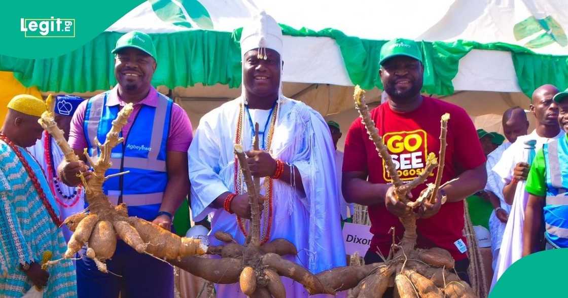 Ooni commends new farms Ooni commends new farms