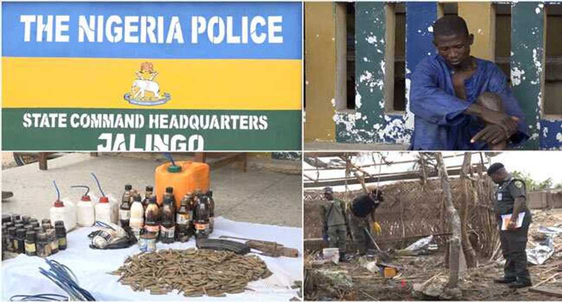 TNP Jalingo TNP Jalingo