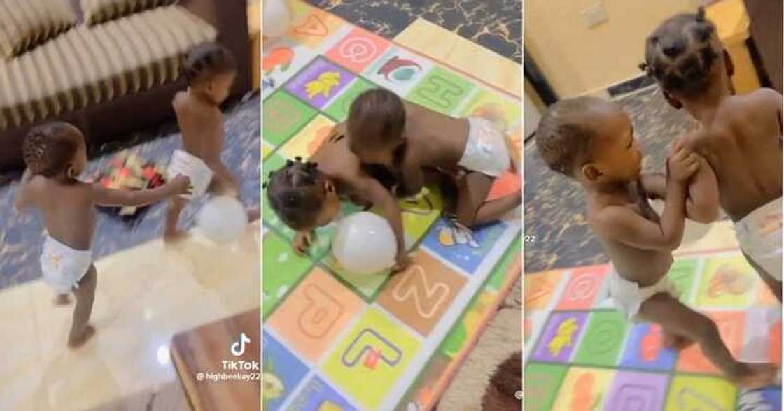 Twins fight over balloon