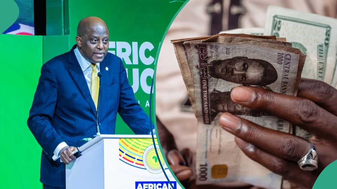CBN moves to stop naira's fall against dollar CBN moves to stop naira's fall against dollar