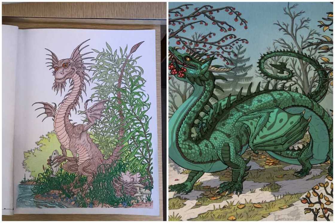 Different dragons Different dragons