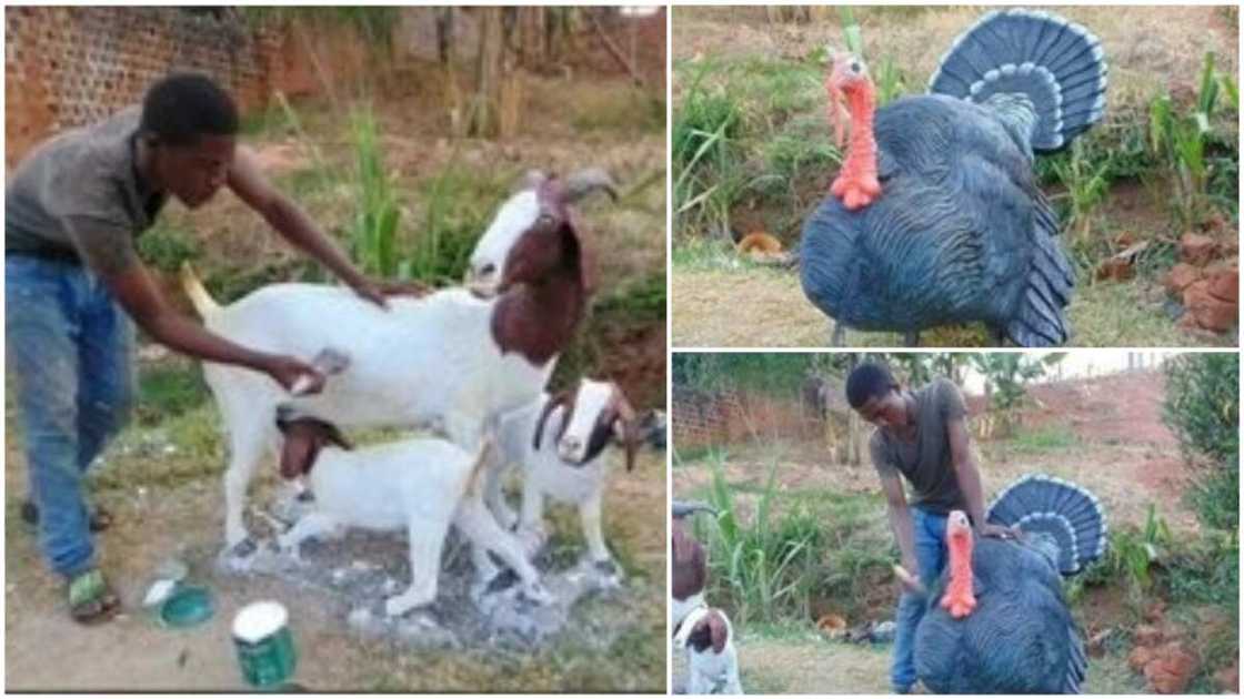 A collage of some of the amazing sculptures. Photo source: Twiter/@AkoRaGye69 A collage of some of the amazing sculptures. Photo source: Twiter/@AkoRaGye69