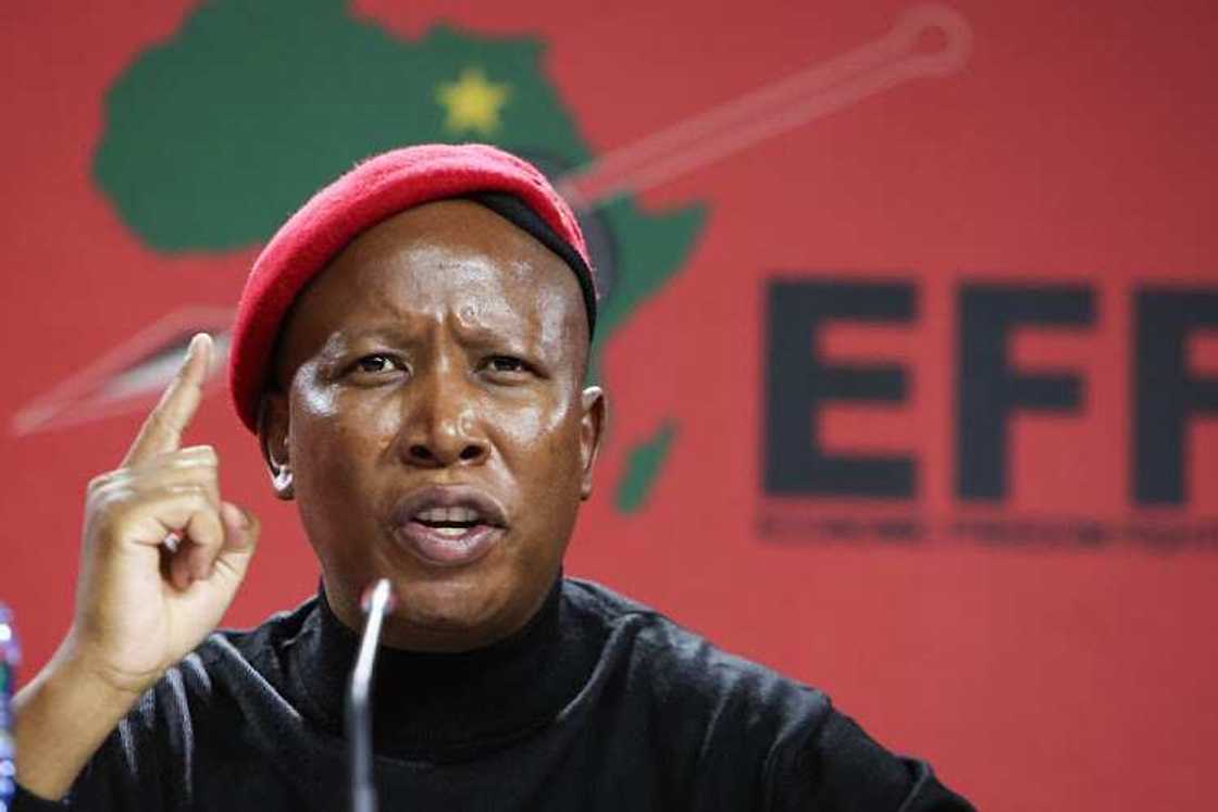 Malema’s viral speech in Johannesburg highlighted Western influence while celebrating Nigerian culture and solidarity.