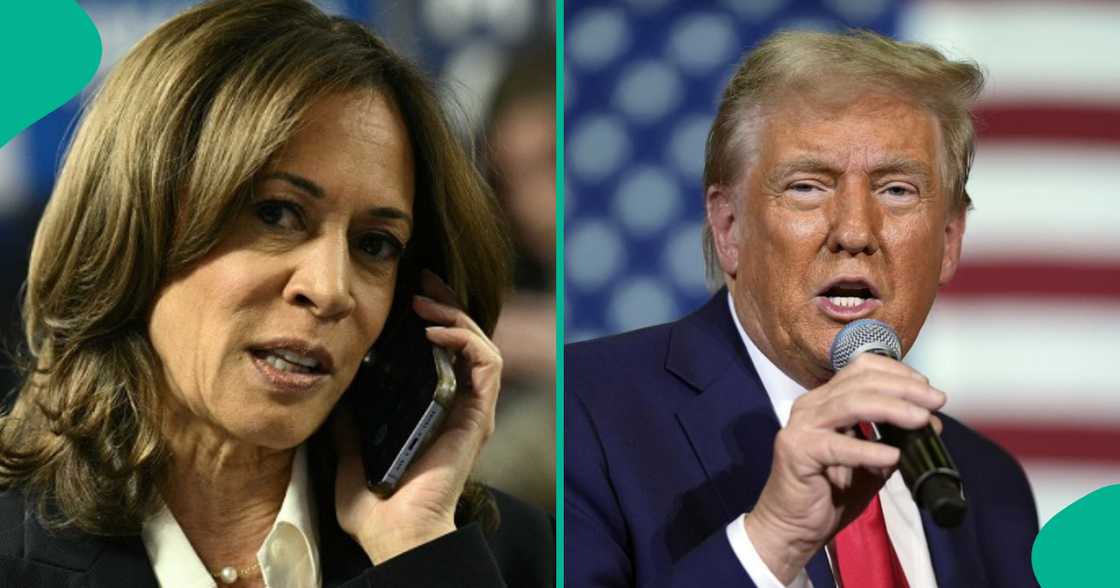 Kamala Harris da Trump.