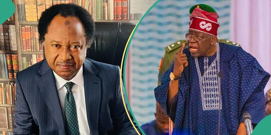 Shehu Sani sends message to Tinubu about EndSars protesters in prisons Shehu Sani sends message to Tinubu about EndSars protesters in prisons