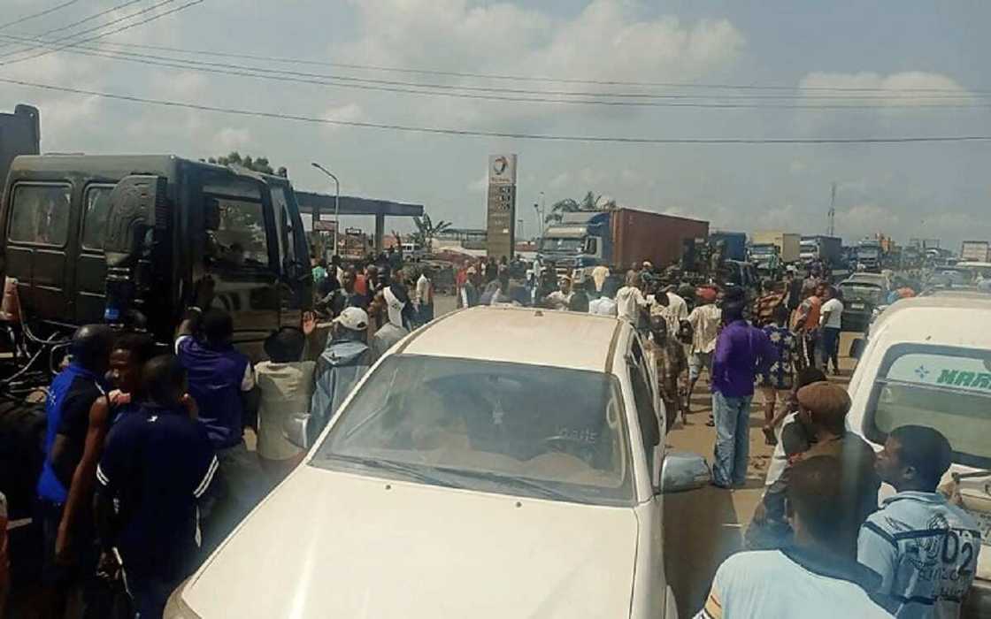 Zanga-zanga Zanga-zanga