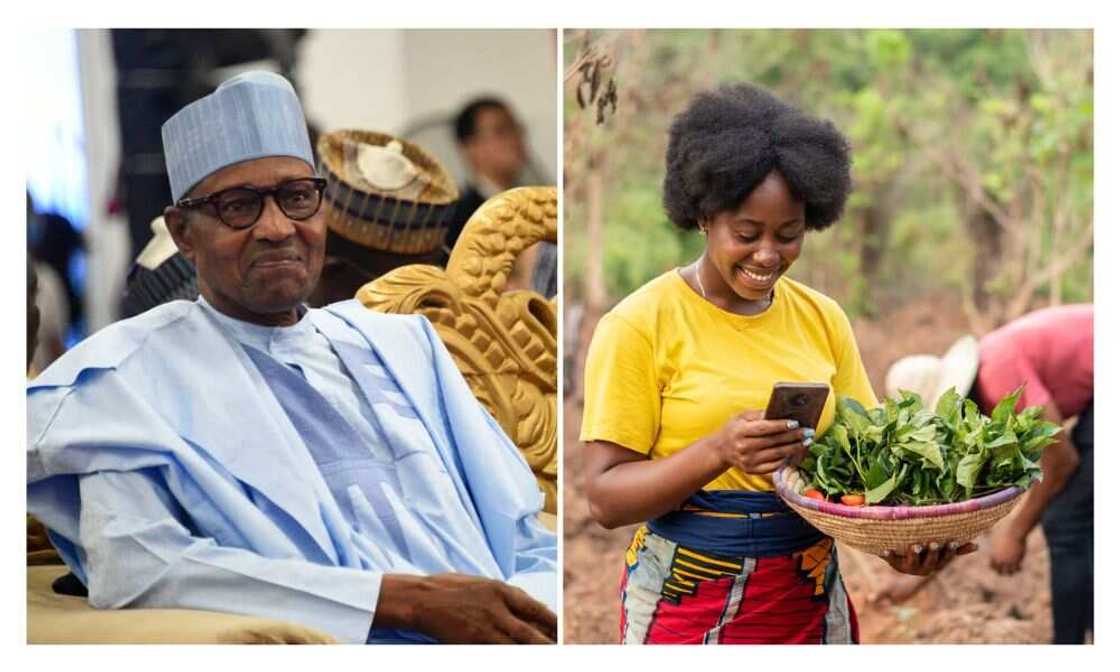 Exporters, Buhari Exporters, Buhari