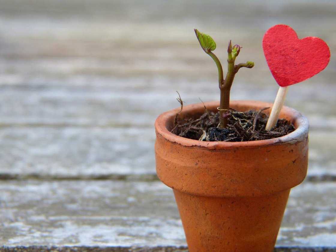 Comment vous entourer d'ondes positives ? 7 idées pour un cycle vertueux Comment vous entourer d'ondes positives ? 7 idées pour un cycle vertueux