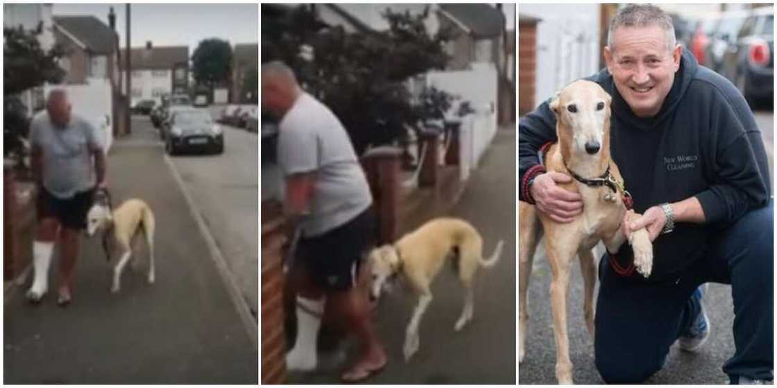 Loyal dog pretends to be injured like his wounded owner, racks up N170k vet fees Loyal dog pretends to be injured like his wounded owner, racks up N170k vet fees