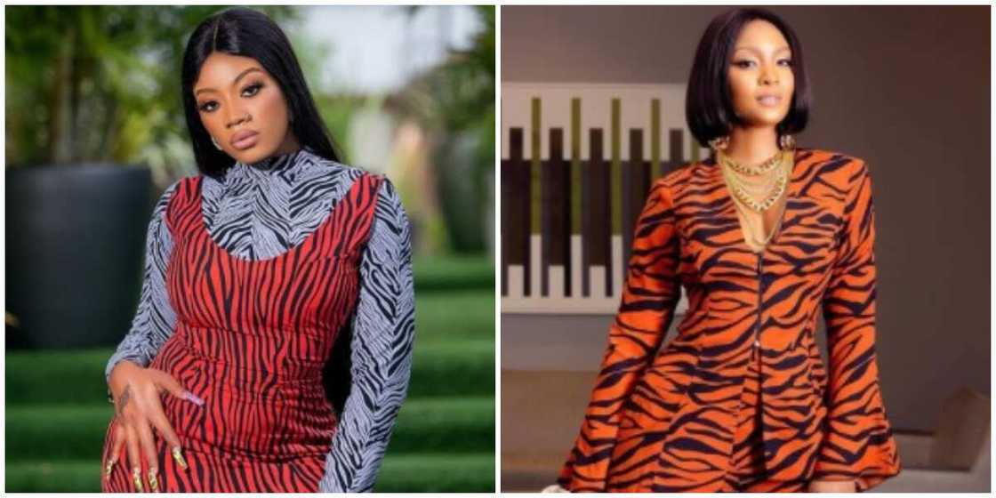 Photos of celebrities in zebra print. Photos of celebrities in zebra print.