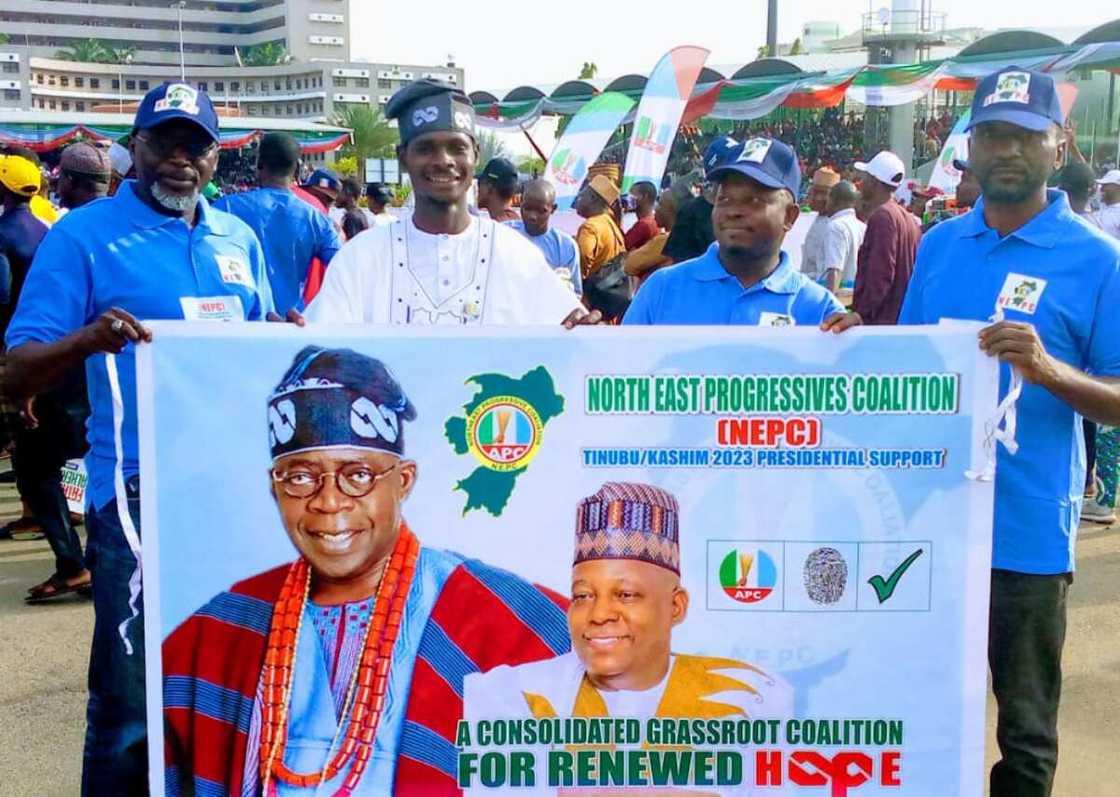 NEPC, Zulum NEPC, Zulum