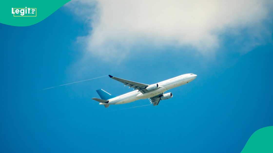 DHS confirms Nigerians on “worst-of-the-worst” criminal register are scheduled for removal.