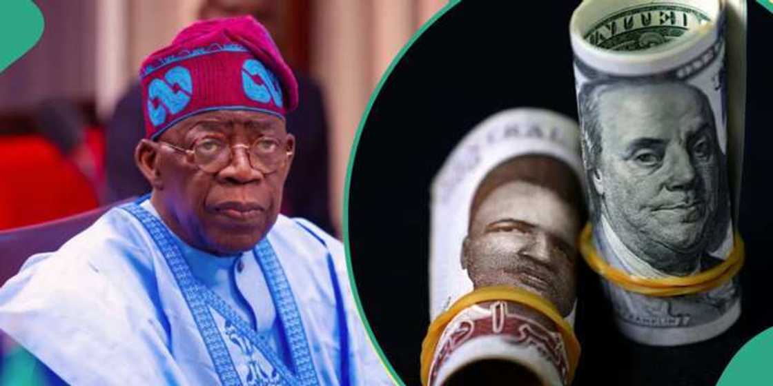 Tinubu zai farfado da darajar Naira, ya fadi ta yaya Tinubu zai farfado da darajar Naira, ya fadi ta yaya