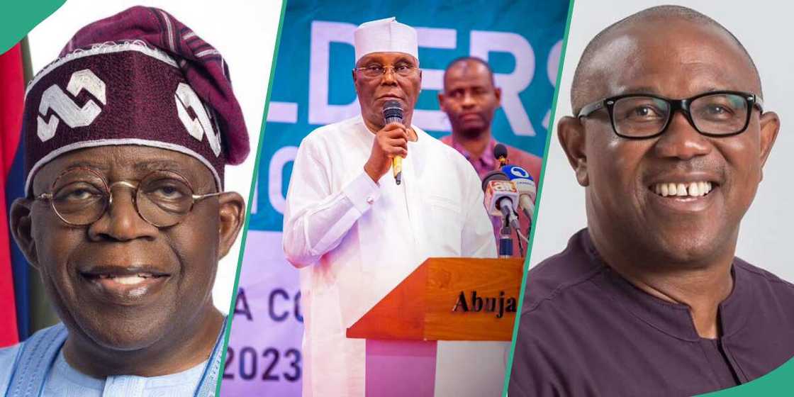 Tinubu, Atiku, Peter Obi send message to Muslims on Eid-el-Maulud