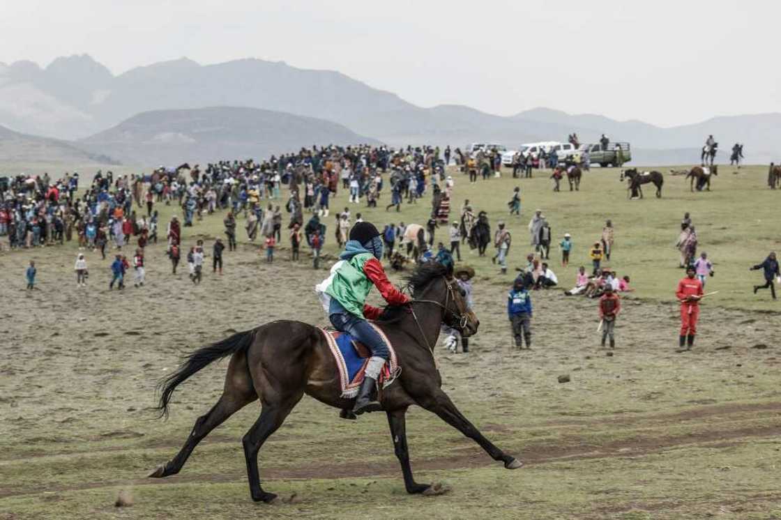 A winning jockey steers his horse towards spectators A winning jockey steers his horse towards spectators