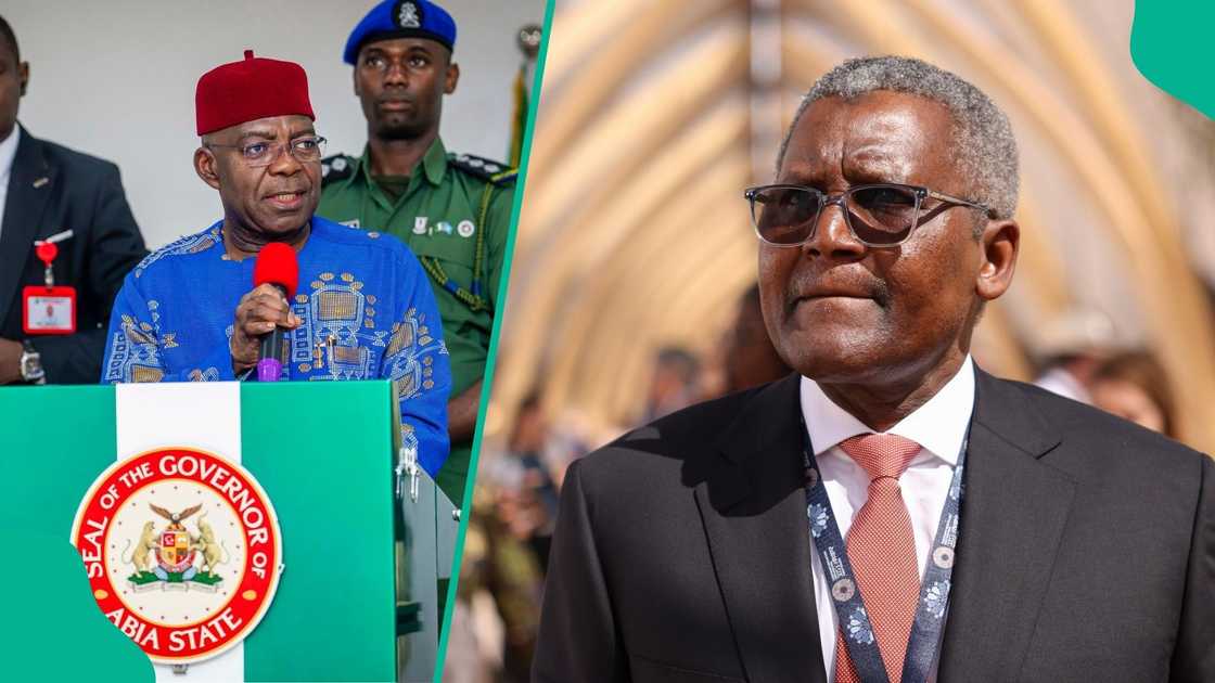 APC leader Salihu Isa Nataro urges Nigerians to weigh Alex Otti and Aliko Dangote as options for the 2027 presidential race. APC leader Salihu Isa Nataro urges Nigerians to weigh Alex Otti and Aliko Dangote as options for the 2027 presidential race.