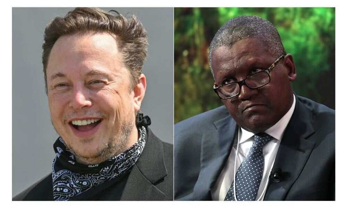 Elon Musk and Aliko Dangote Elon Musk and Aliko Dangote